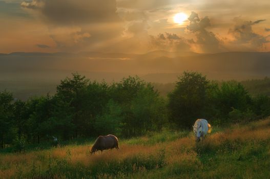 You can witness this scenery if you dine with shepherds in the carpathians.