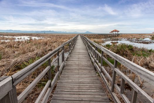 wooden bridge stretches across the dry grasslands and the flooding at Khao Sam Roi Yot National Park, Thailand