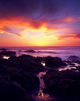 Point Reyes national seashore is just an hour north of San Francisco.