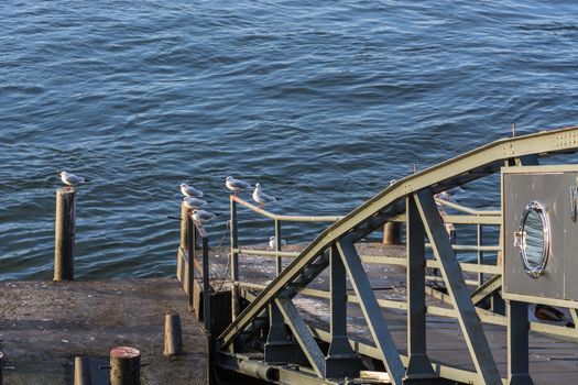 Boat landing stage on the Rhine in Duesseldorf, Germany.