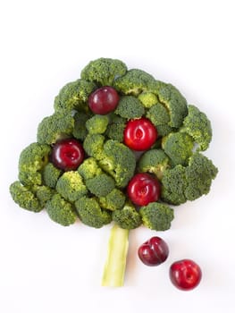 Tree-shaped composition made from broccoli and plums on the white background. Four plums are hanging on the fruit tree, one plum is falling from the tree, and the other one is lying under the tree.