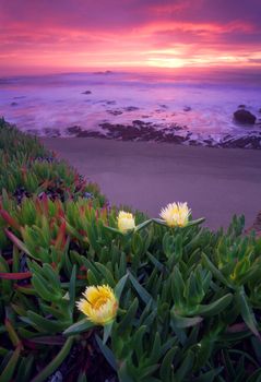 The Pacific Coast is a stretch of coastal highway in Calfornia.