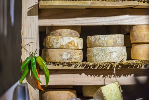 round pieces of cheese on a wooden counter