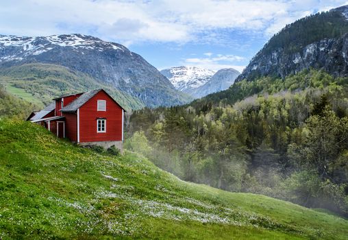 Red wooden cottage in the valley. Green grass, white flowers. Stone snowy mountains. Stalheim, Norway. Lightly mist. 