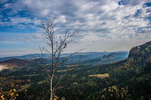 Landscape in the national park of the saxonian suisse