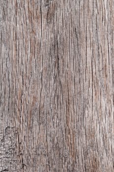 Wood texture background old porous dry cracked empty aged timber rough surface closeup material colour natural vintage plank