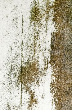 Grunge background brown texture wall rustic rust old organic mildew