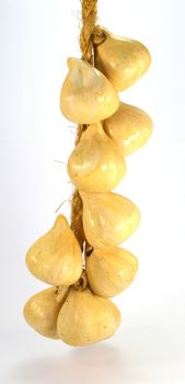 Garlic clove in a bunch on a rope on a white background