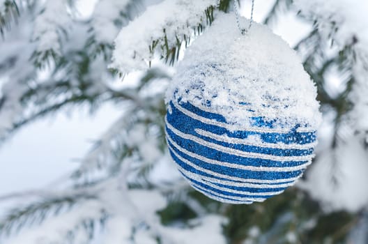 Christmas decoration blue ball on snowy tree branches. Selective focus.