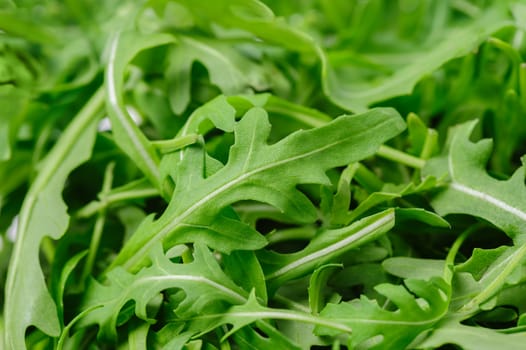 Random heap of ruccola, selective focus background