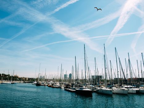 Spain. Barcelona. Yacht club at sunset. A lot of masts