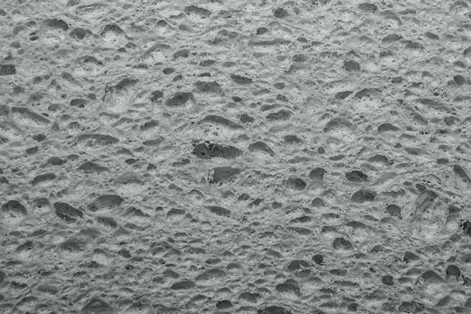 Green Cellulose foam sponge