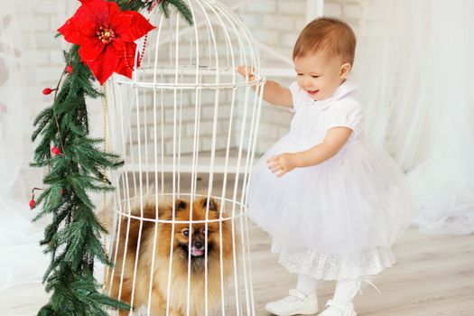 Portrait of a beautiful baby girl playing with a puppy in the interior with Christmas decorations.