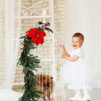 Portrait of a beautiful baby girl playing with a puppy in the interior with Christmas decorations.