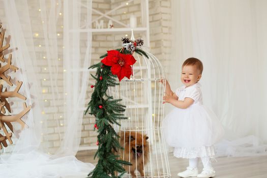 Portrait of a beautiful baby girl playing with a puppy in the interior with Christmas decorations.