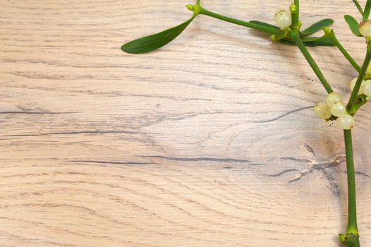 Branch of mistletoe on a brown wooden background