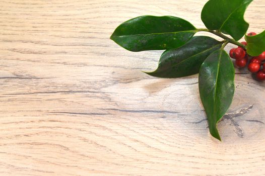 Holly branch set on a brown wooden background