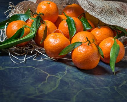 Fresh picked mandarins spilling from a burlap sack close-up.Horizontal format with copy space.