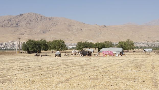 KERMANSHAH, IRAN - OCTOBER 3, 2016: Camp of nomads close to Kermanshah on October 3, 2016 in Iran, Asia
