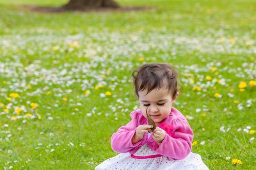 Cute chubby toddler looking at a leaf curiously exploring nature outdoors in the park