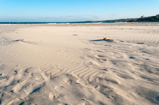 Stintino beach la pelosa in a sunny windy day of winter, sardinia