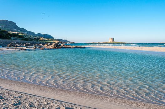 Stintino beach la pelosa in a sunny windy day of winter, sardinia