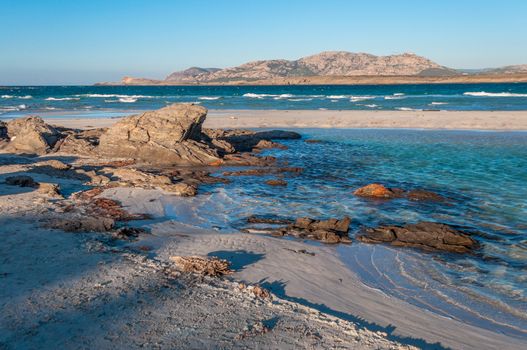 Stintino beach la pelosa in a sunny windy day of winter, sardinia