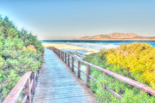 Stintino beach la pelosa in a sunny windy day of winter, sardinia