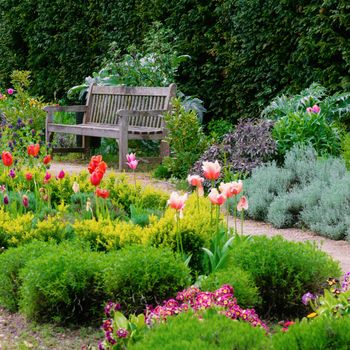 English garden with a walk path leading to empty bench square composition