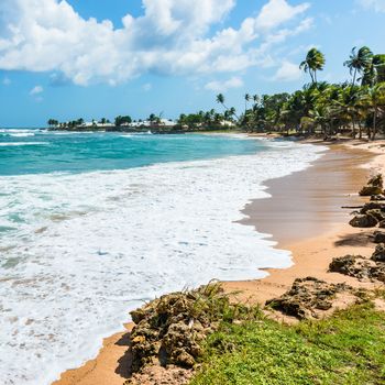 Empty tropical beach Tobago Caribbean square composition