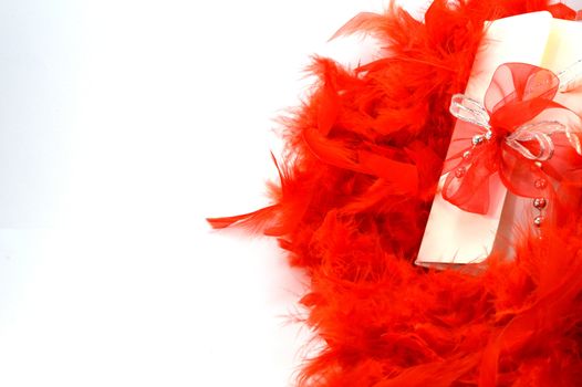 Box of pralines on a red feather nest on a white background