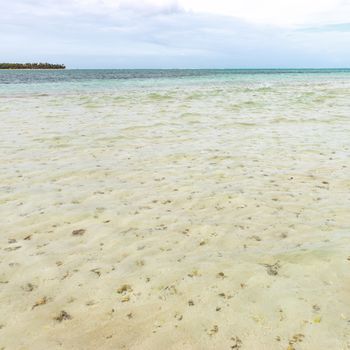 Nylon Pool in Tobago tourist attraction shallow depth of clear sea water covering coral and white sand panoramic view