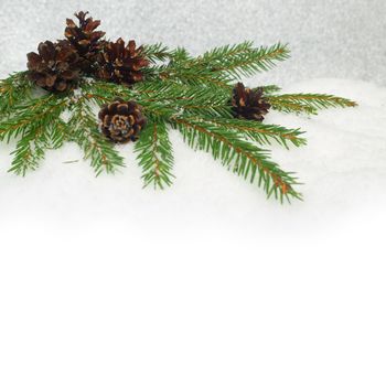 Pine cones and fir branch on snow background with copyspace