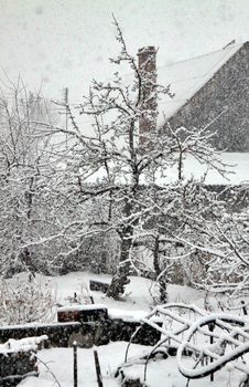 View on the snow-covered garden and a snowstorm in a gloomy winter day