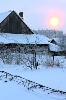 winter evening snowy garden the sun shines dim