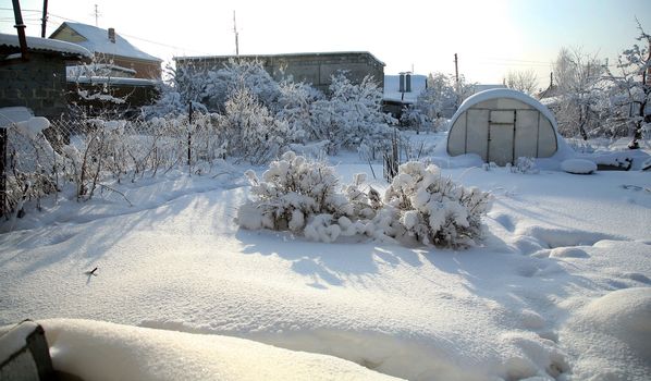covered with snow the garden against the sun