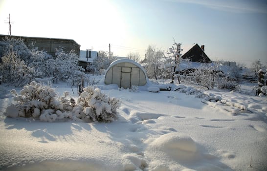 covered with snow the garden against the sun