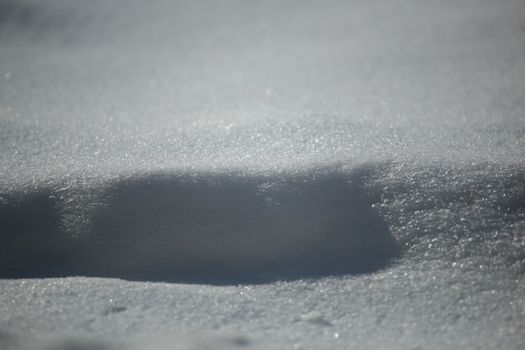 Background of wavy fresh snow with blue tint