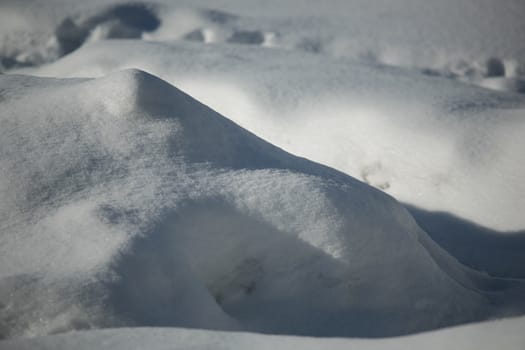 Background of wavy fresh snow with blue tint