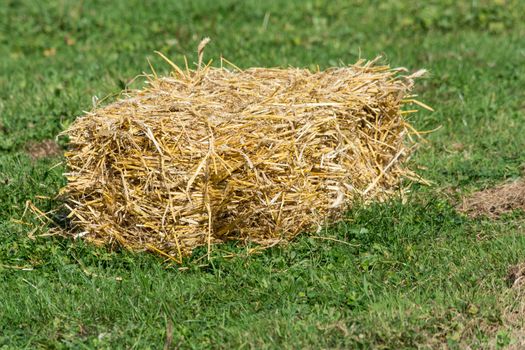 A small bales of straw on a green field.