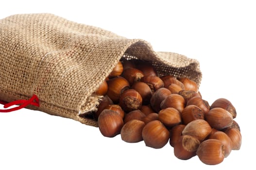 some hazelnuts placed over a white background