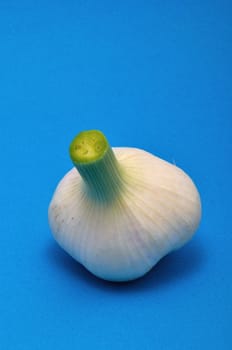 Fresh garlic  on blue background
