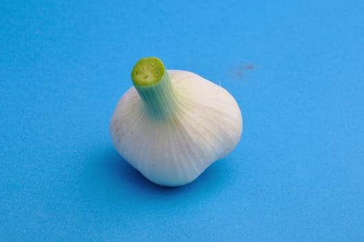 Fresh garlic  on blue background
