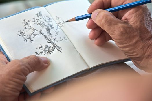 man writing a tree on sketchbook,Environment Conservative concept