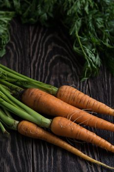 Freshly grown carrots on wooden table