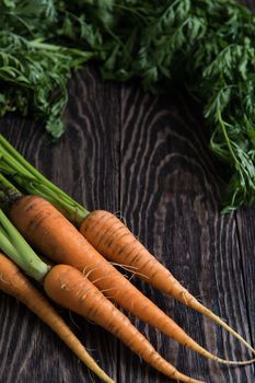 Freshly grown carrots on wooden table