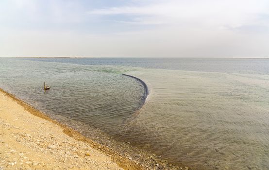 Dead Sea the landscape sunny summer day