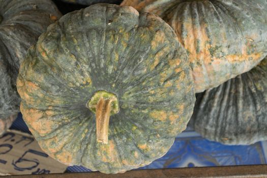 Pumpkin at retail shop, Thailand