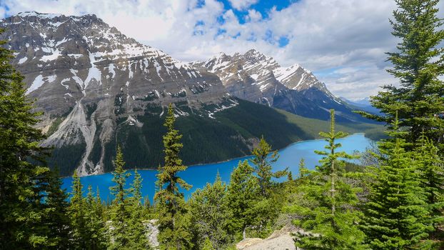 Peyto Lake near Banff and Lake Louise