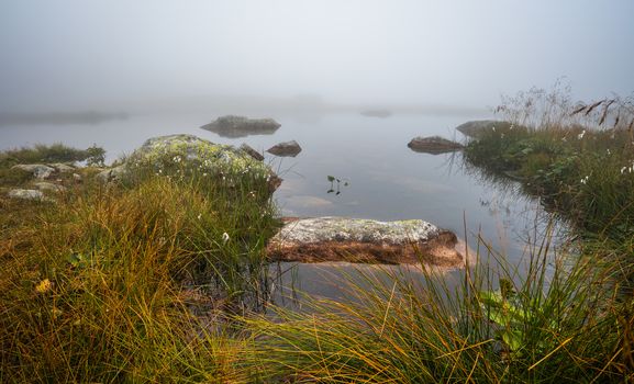 Small Tarn with Rocks on Foggy Morning